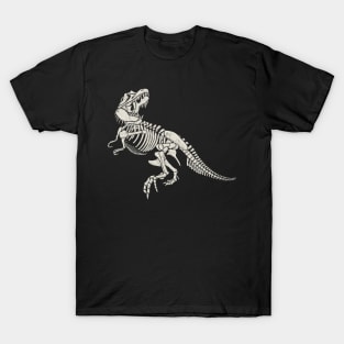 Paleontologist Dinosaur Fathers Day Gift Funny Retro Vintage T-Shirt